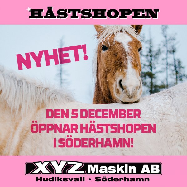 Hästshoppen i Söderhamn